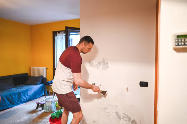 Best Affordable Mold Removal  in Tobaccoville, NC